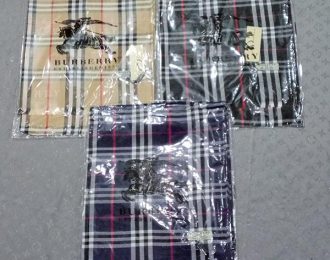 Burberry Scarves